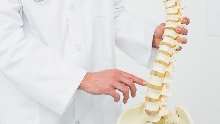 The doctor demonstrates the development process of osteochondrosis